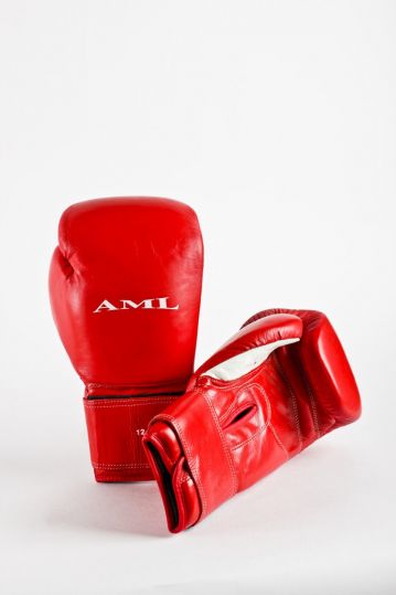 Перчатки для бокса AML PRO красные